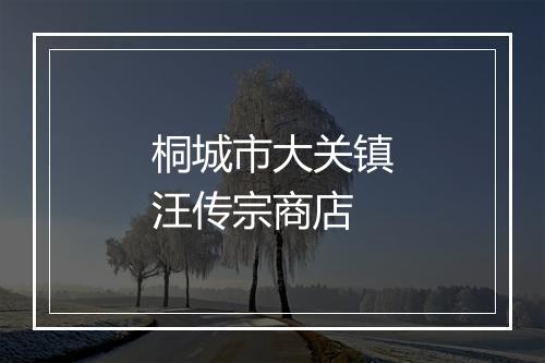 桐城市大关镇汪传宗商店