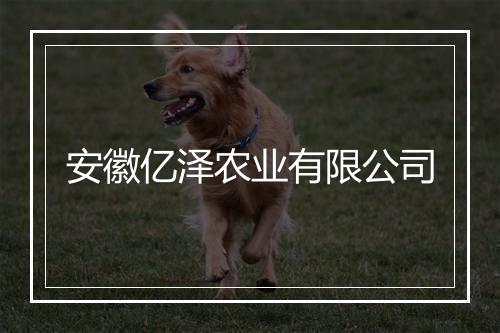 安徽亿泽农业有限公司