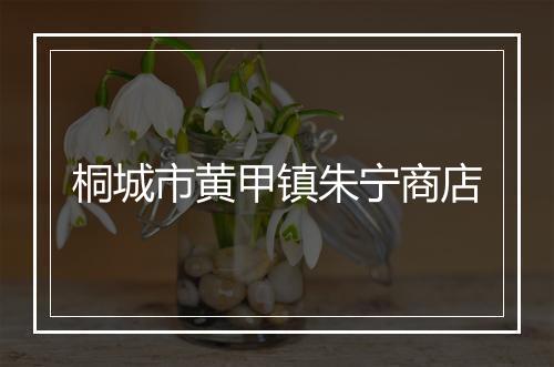 桐城市黄甲镇朱宁商店