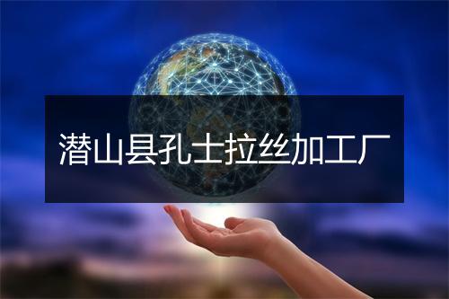 潜山县孔士拉丝加工厂
