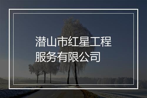 潜山市红星工程服务有限公司