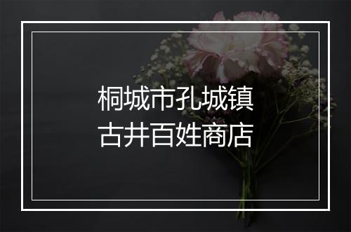 桐城市孔城镇古井百姓商店