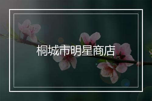 桐城市明星商店
