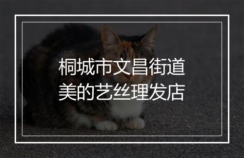 桐城市文昌街道美的艺丝理发店