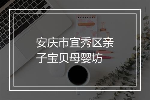 安庆市宜秀区亲子宝贝母婴坊