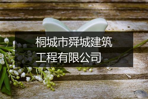 桐城市舜城建筑工程有限公司