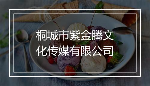 桐城市紫金腾文化传媒有限公司