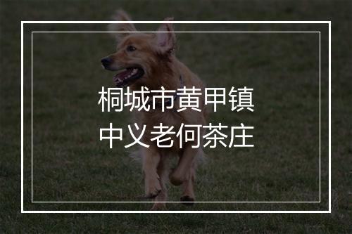 桐城市黄甲镇中义老何茶庄