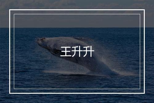 王升升