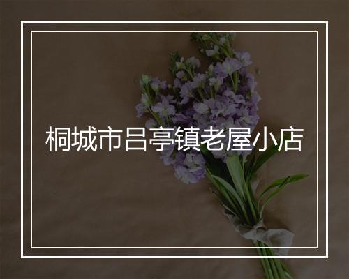 桐城市吕亭镇老屋小店