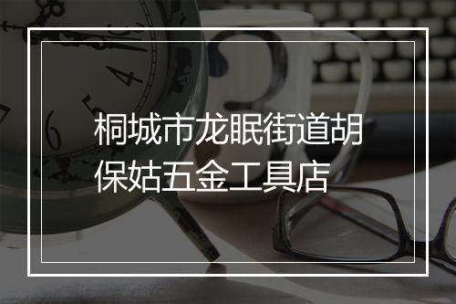桐城市龙眠街道胡保姑五金工具店