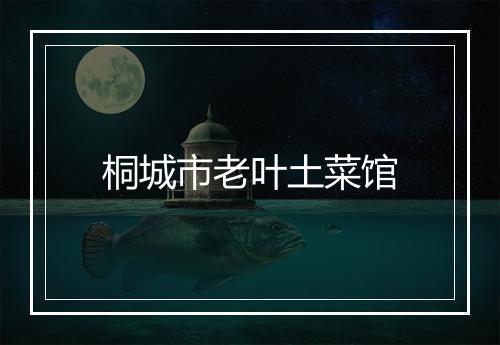桐城市老叶土菜馆
