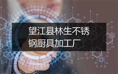 望江县林生不锈钢厨具加工厂