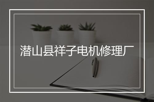 潜山县祥子电机修理厂