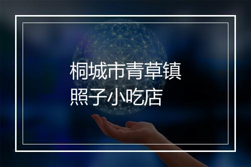 桐城市青草镇照子小吃店