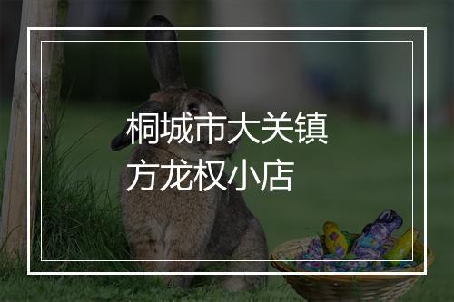 桐城市大关镇方龙权小店