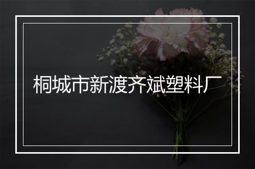 桐城市新渡齐斌塑料厂