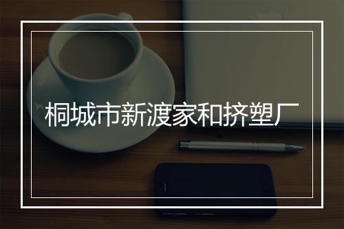 桐城市新渡家和挤塑厂