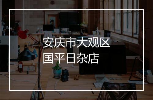 安庆市大观区国平日杂店