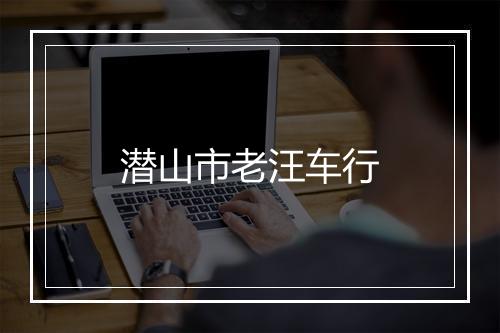 潜山市老汪车行