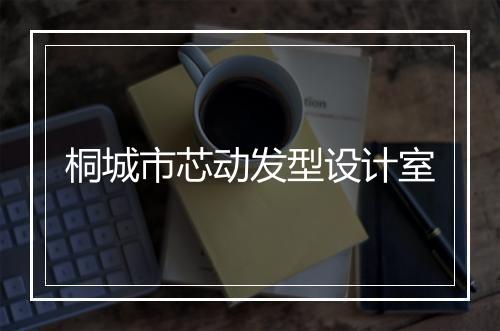桐城市芯动发型设计室