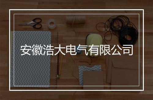 安徽浩大电气有限公司