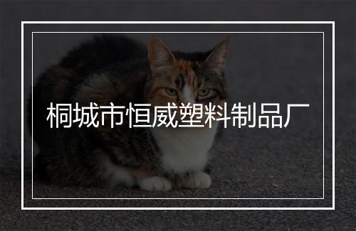 桐城市恒威塑料制品厂