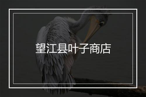 望江县叶子商店
