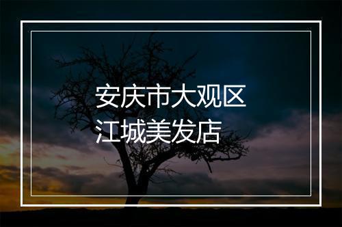 安庆市大观区江城美发店