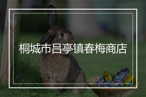 桐城市吕亭镇春梅商店