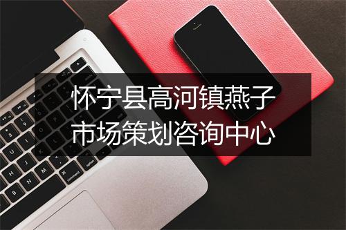 怀宁县高河镇燕子市场策划咨询中心