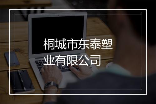 桐城市东泰塑业有限公司