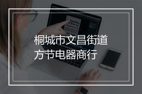 桐城市文昌街道方节电器商行