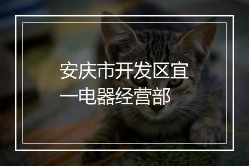 安庆市开发区宜一电器经营部