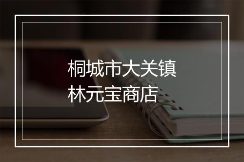 桐城市大关镇林元宝商店