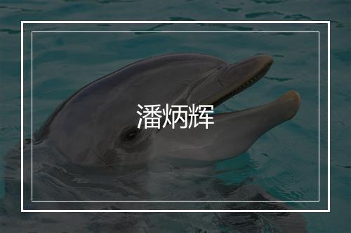 潘炳辉