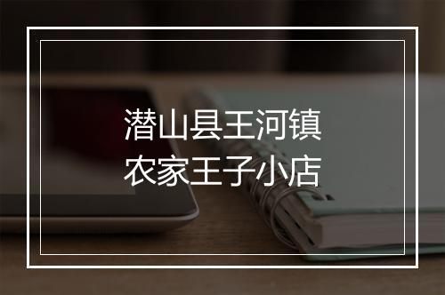 潜山县王河镇农家王子小店