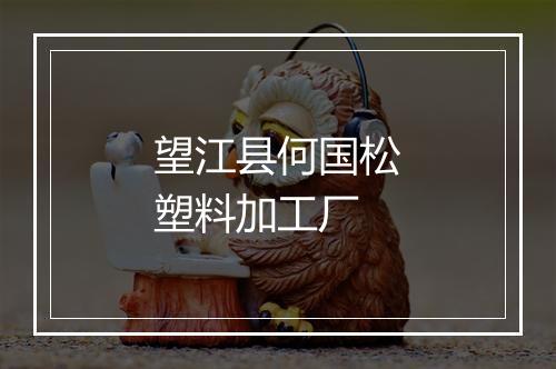 望江县何国松塑料加工厂