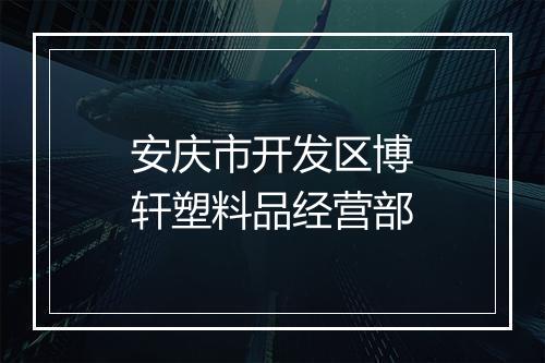 安庆市开发区博轩塑料品经营部