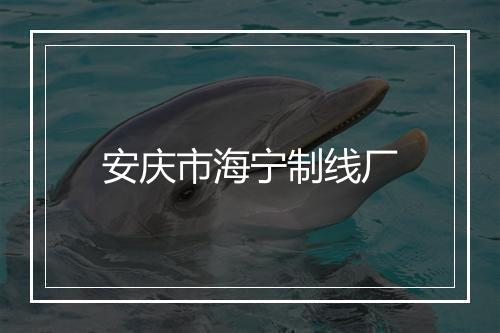 安庆市海宁制线厂