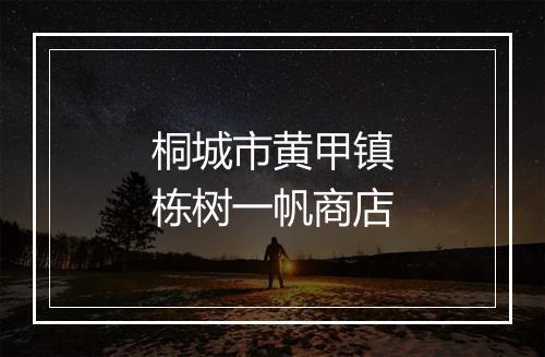 桐城市黄甲镇栋树一帆商店