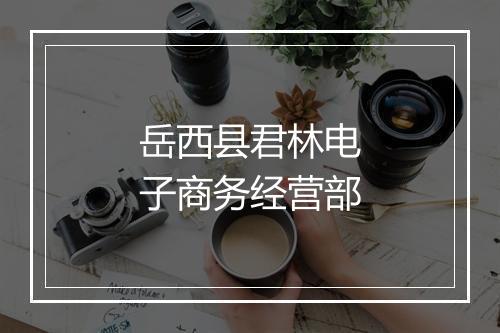 岳西县君林电子商务经营部