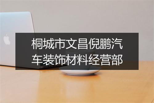 桐城市文昌倪鹏汽车装饰材料经营部