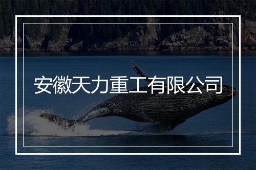 安徽天力重工有限公司