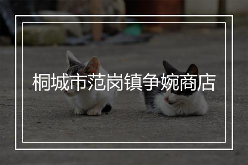 桐城市范岗镇争婉商店