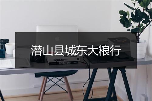 潜山县城东大粮行