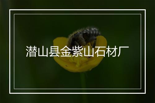 潜山县金紫山石材厂