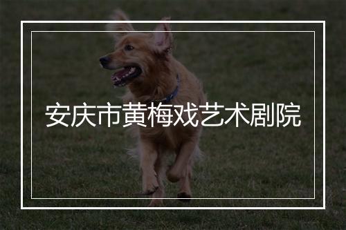 安庆市黄梅戏艺术剧院