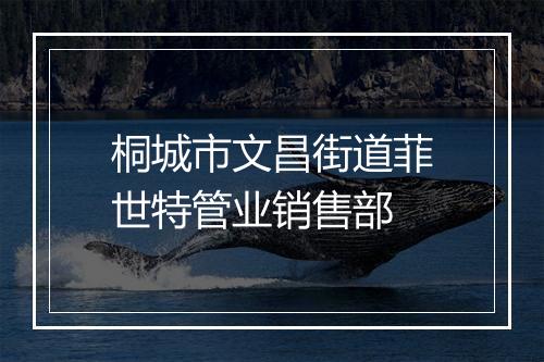 桐城市文昌街道菲世特管业销售部