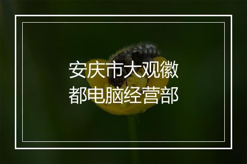 安庆市大观徽都电脑经营部